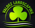 vlzlandscaping.com